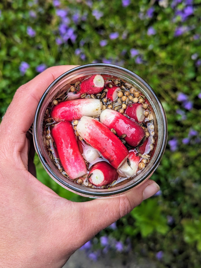 Cuisine saine à domicile