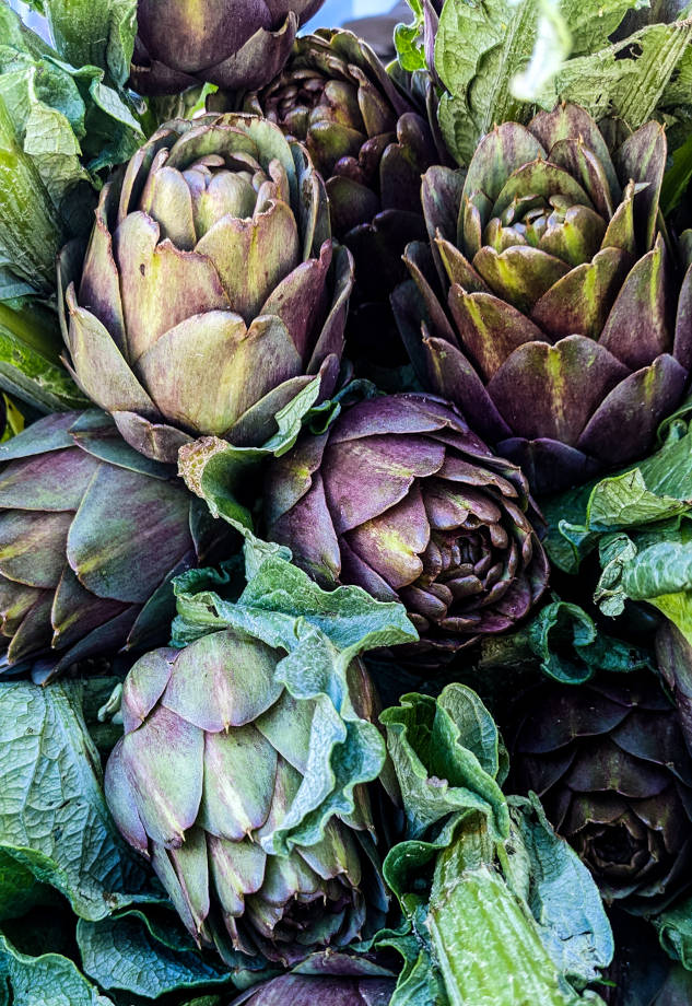 Création carte saisonnière