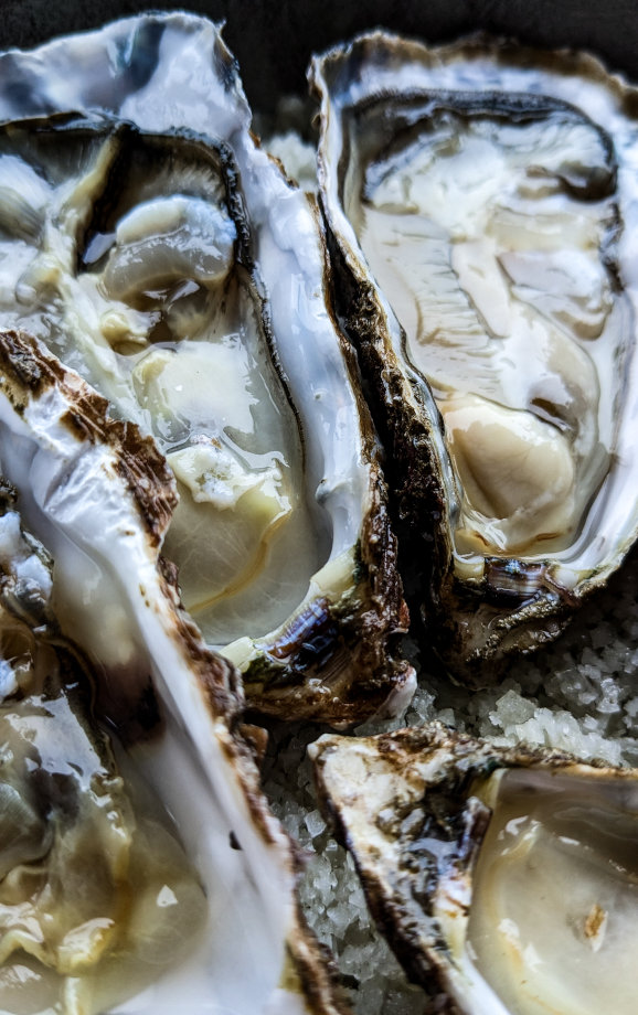 Consulting offre restauration