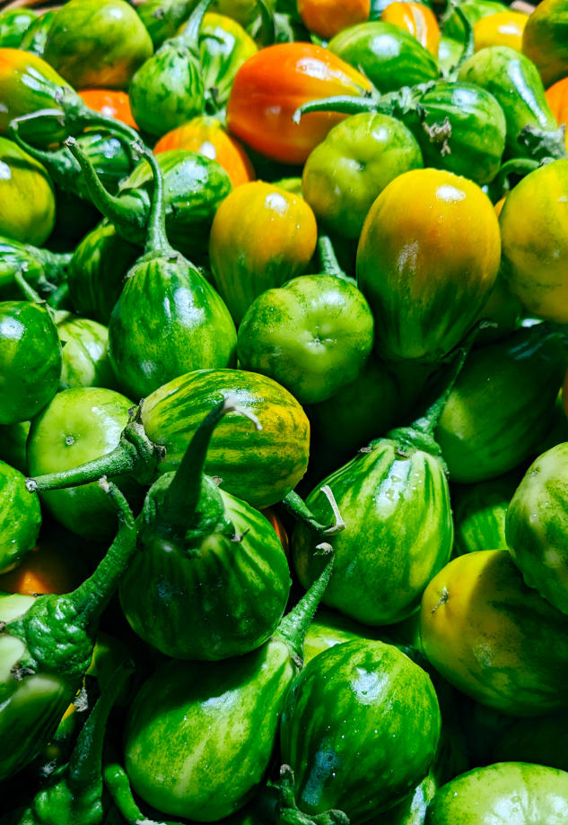 Accompagnement projet restaurant