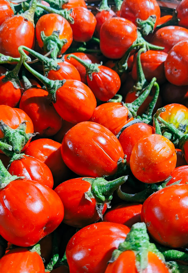 Consulting carte restaurant