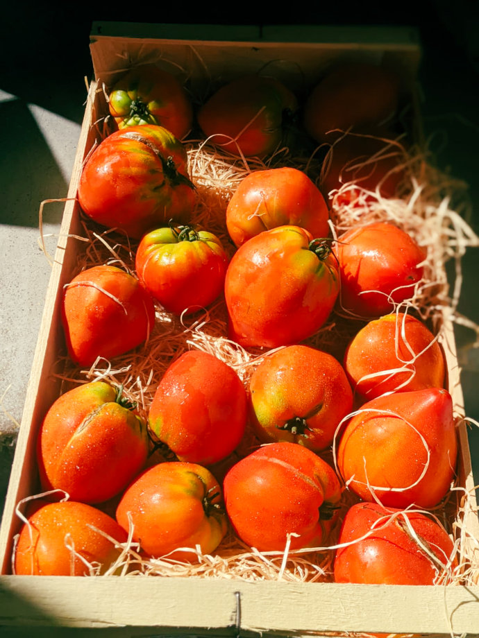 Consulting menu restaurant