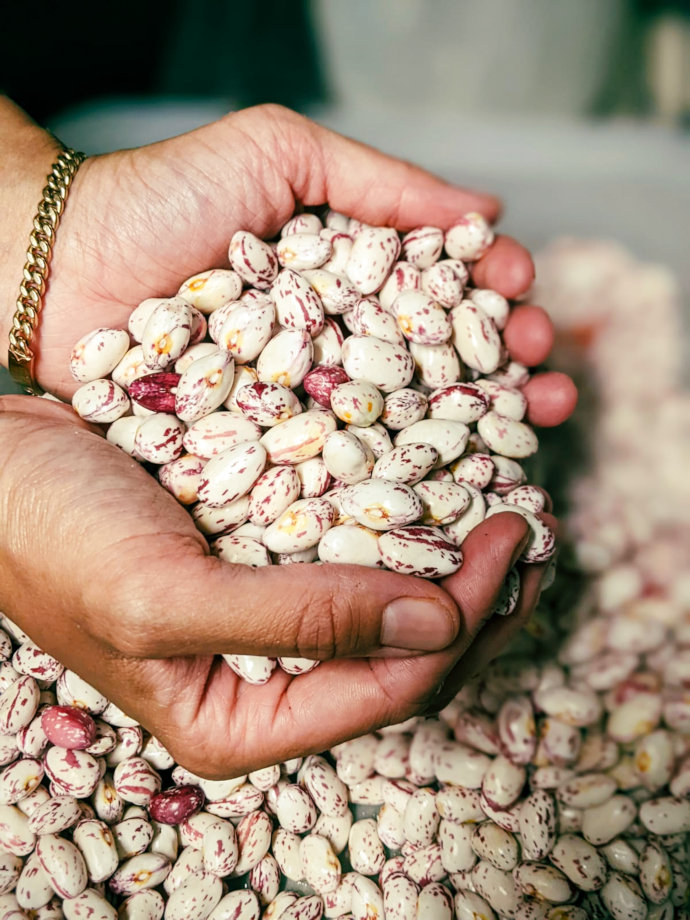 Conseil création restaurant