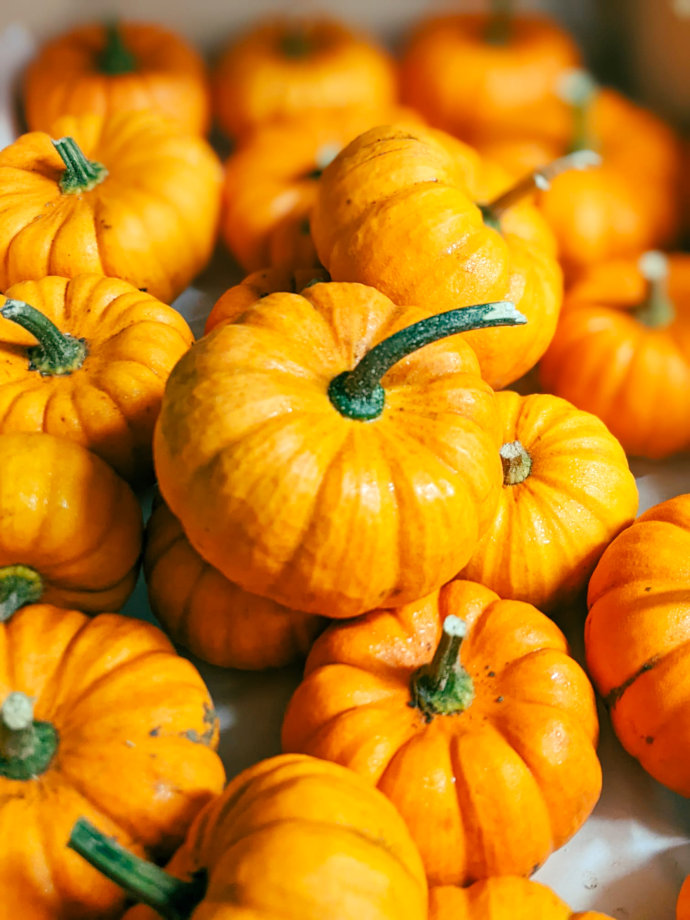 Formation équipe cuisine